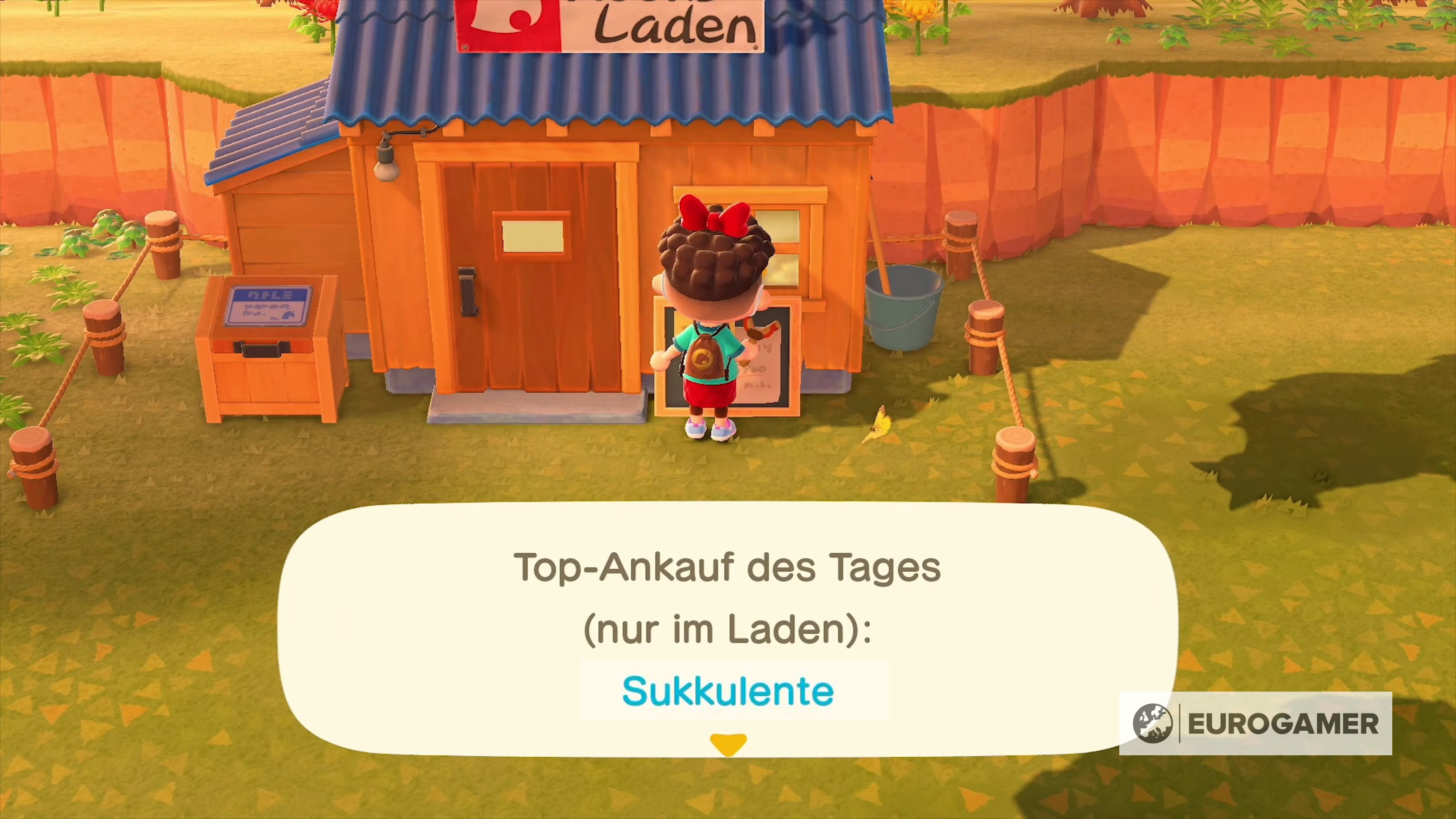 Animal Crossing New Horizons Nooks Laden ausbauen und upgraden